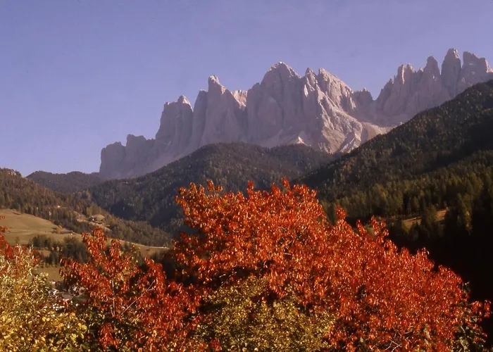 Bergblick App Laerche