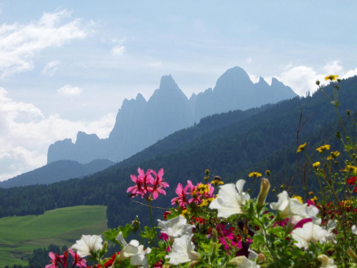 Bergblick App Laerche *