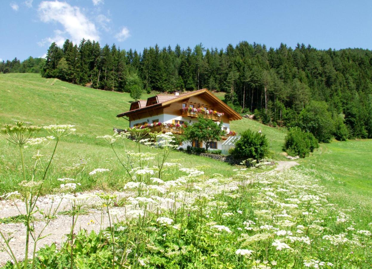 Bergblick App Laerche Apartment Funes (Bolzano)