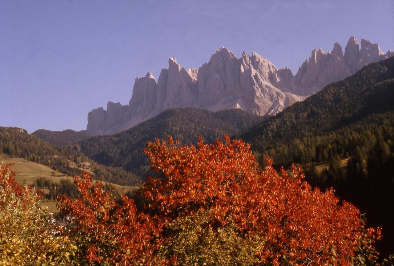 Appartement Bergblick App Laerche *