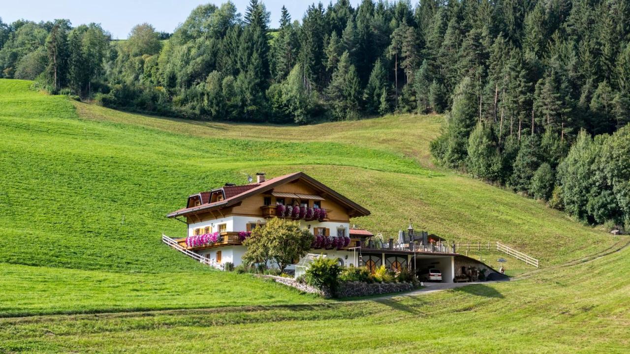 Bergblick App Laerche *
